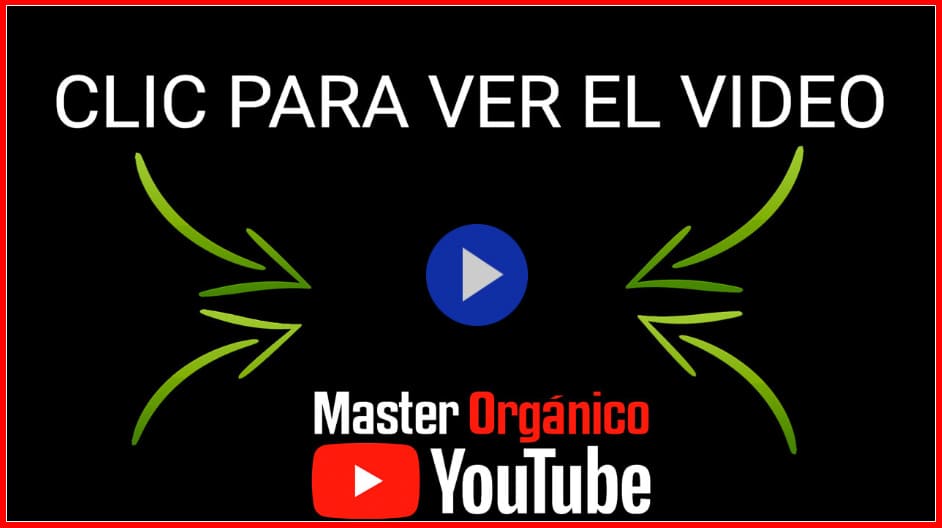 master-organico-youtube