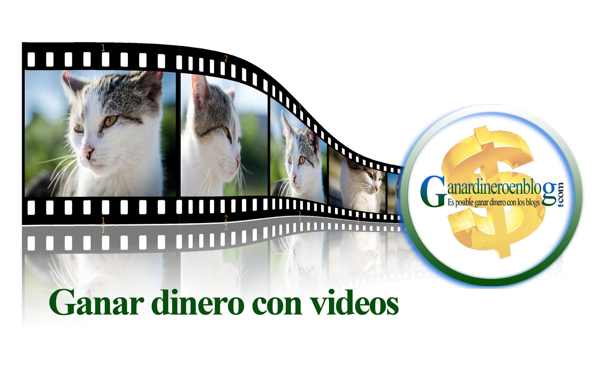 cat-254572_1920-ganar-dinero-con-videos