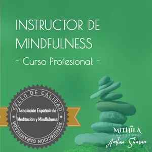 instructor-de-mindfulness