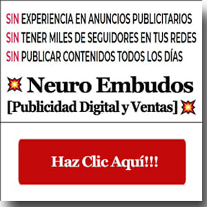 neuroembudos-publicidad-digital-curso-300-2